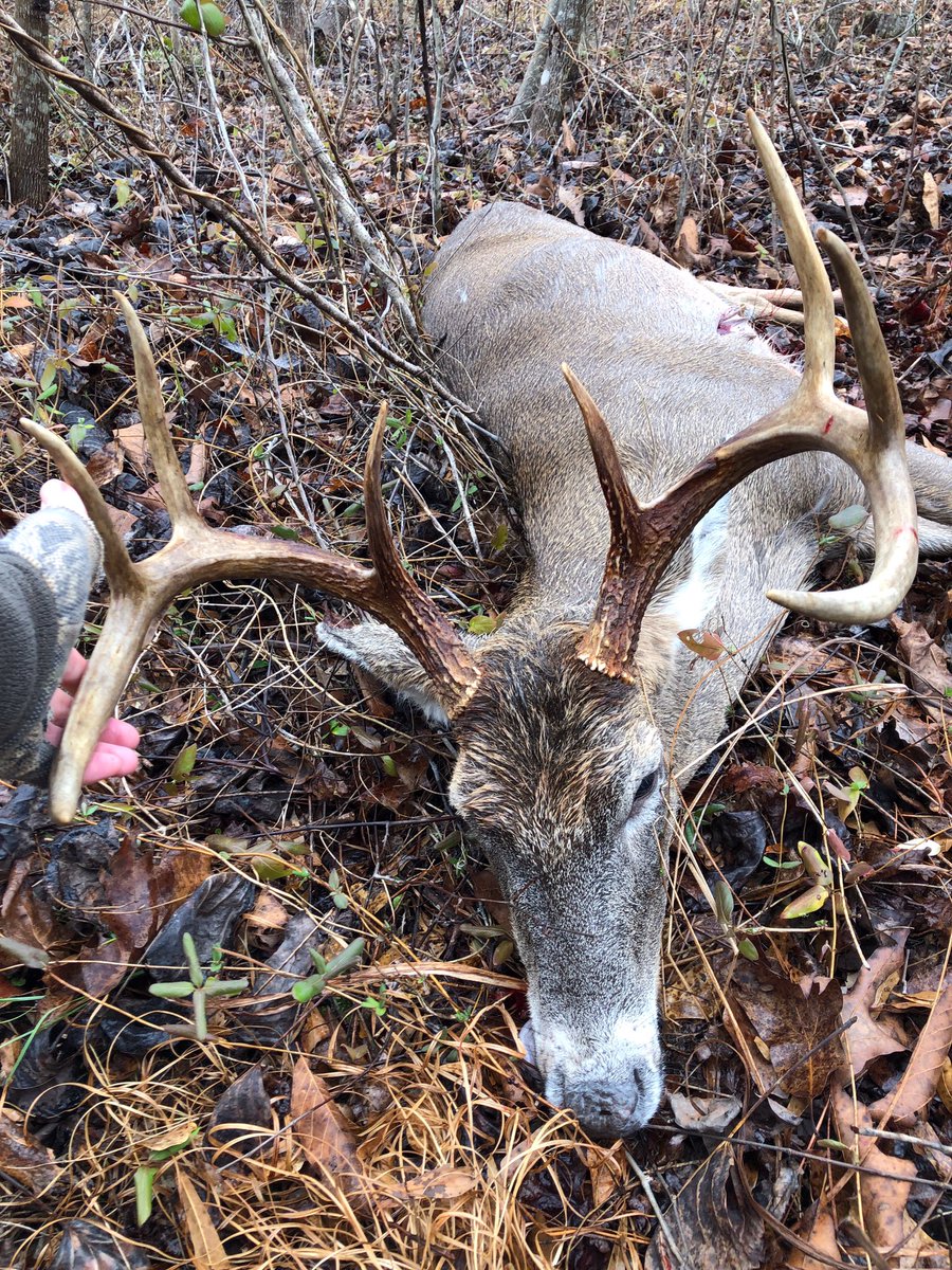 RobbieAngles's tweet image. 