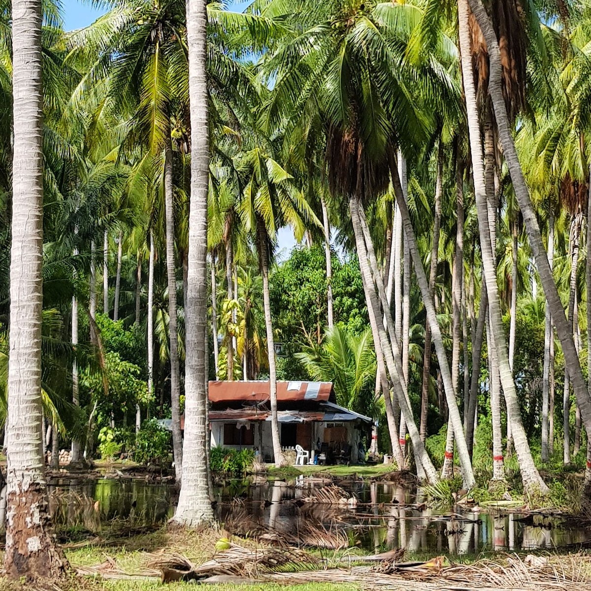 ContentCastle's tweet image. The dream job in 2019 is to be a nomadic writer and make a living while traveling. But, do you have what it takes to become a writer?
Our resident Lisette is asking herself the same question: 
contentcastle.asia/do-i-have-what…

#digitalnomad #contentwriting