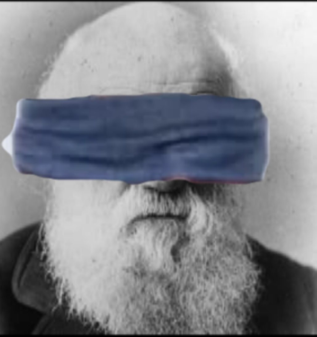 How many teachers referenced Bird Box in their lesson today? I did😂😂... Charles Darwin and Natural Selection! #FavorableTraits #Echolocation #GeneticMutations #ThePerksOfTeachingScience #CreativeEngagement #OpeningTheEyesOfStudents