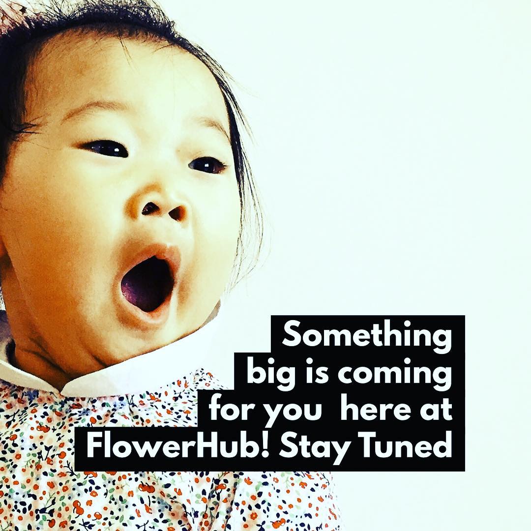 flowerauction's tweet photo. 2019 is here!🎉 And FlowerHub is up to SOMETHING BIG! Stay tuned.💐 https://t.co/Fcz7uVPD77