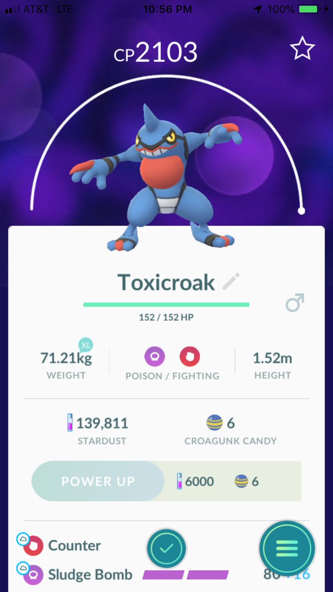 Nick Nunes tweet media