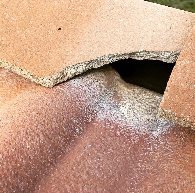 WeathertightRoo's tweet photo. When you see this on your roof it’s time to call Weathertight Roofing for repair. 951-929-0557

Why? Well, this broken tile will give access to rodents and rain to enter your roof and do significant damage. 

#Roofer #roofing #weathertightroofing #hemet #sanjacinto https://t.co/Ehhxm4gpWW