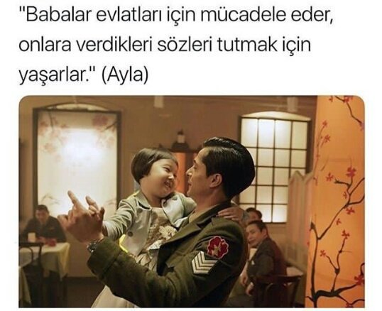 #Ayla