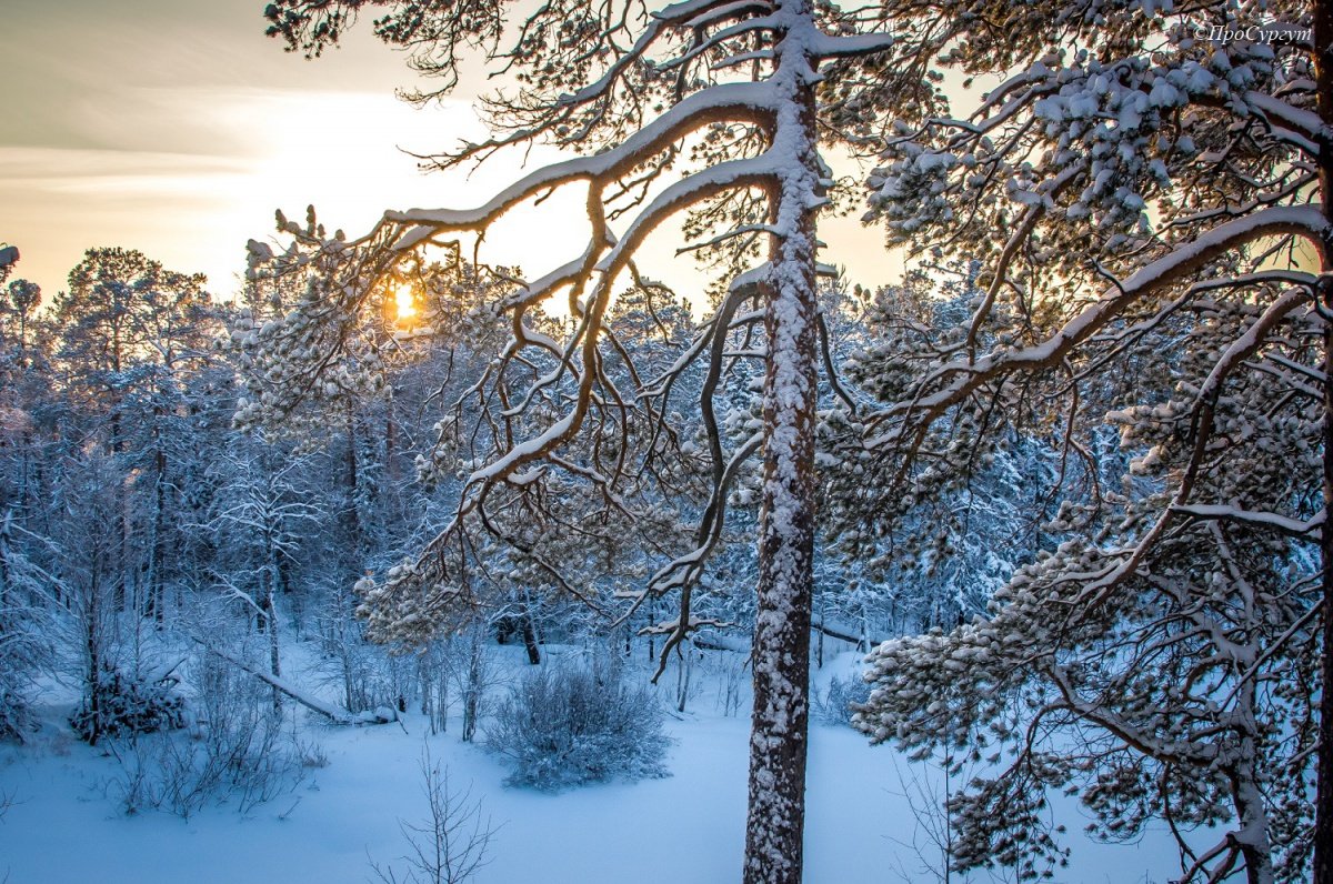 Рабочая неделя в России начнется с аномальных морозов pro-ivanovo.ru/news/society/r… #иваново