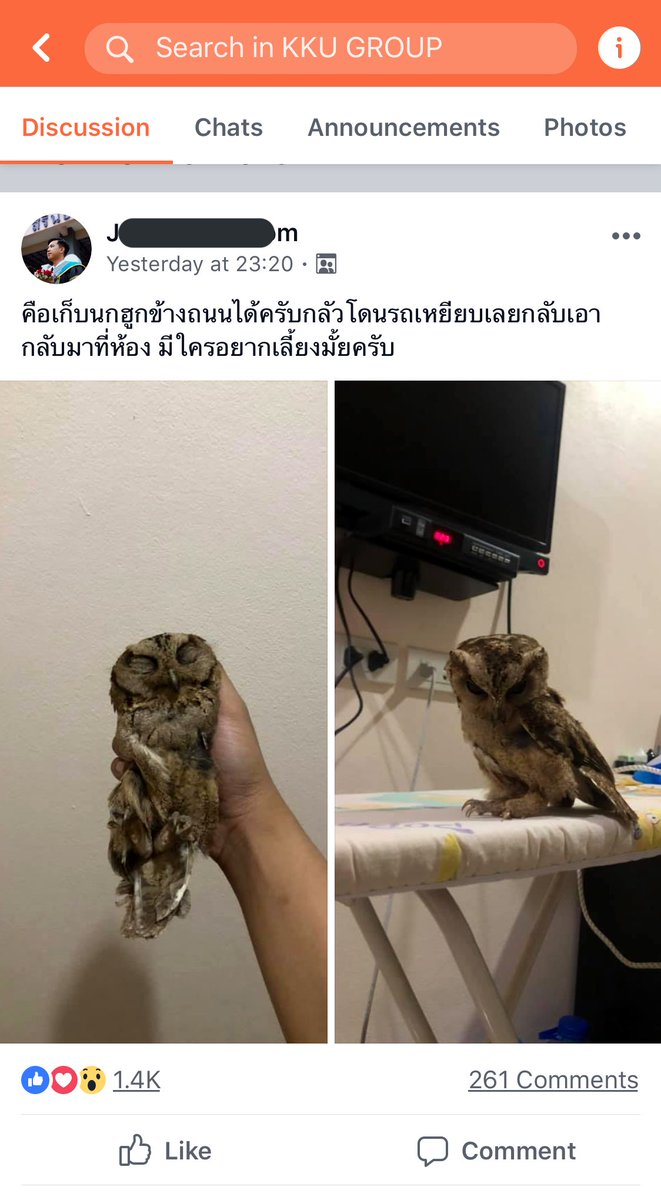 Kainคับ tweet media