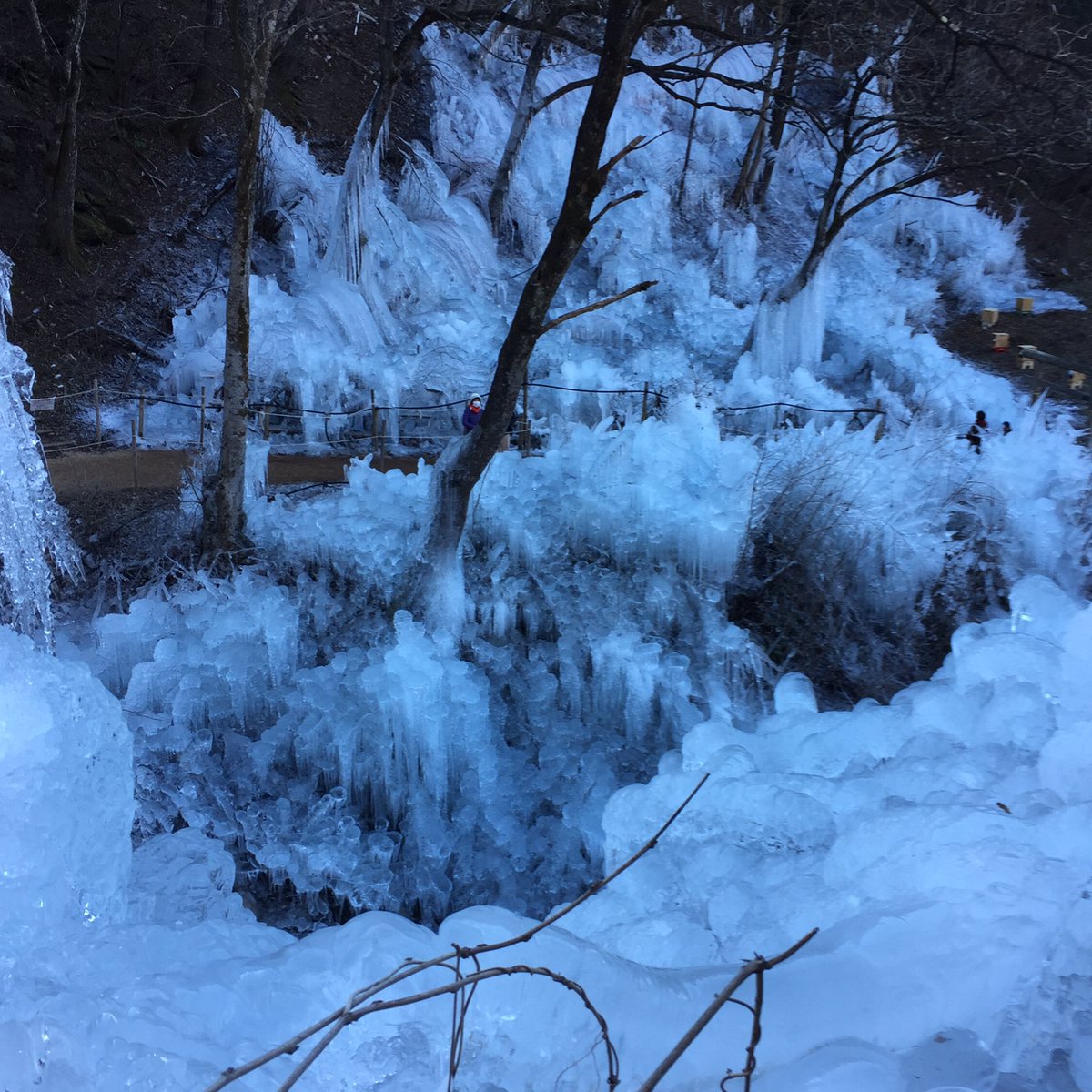 mami_masumi's tweet photo. あしがくぼの氷柱
#芦ヶ久保 #氷柱 #iceicle https://t.co/eZmZQLNr0F
