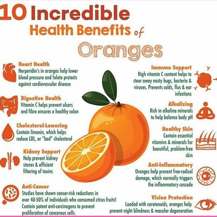 MadnessWellness's tweet photo. Be healthy, be fit...๐๐ฅ๐๐ฅ๐ช๐ช
Credit by @health_tips_knowledge
Follow @madnessforfitness
#health #healthylifestyle #madnessforfitness #fitnessaddict #fitnesstips #fitnessquote #body #bodyofchrist #bodypowerindia #bodytransformation #fashion #menfitness #menbody #motivation https://t.co/J6FiK00xJS
