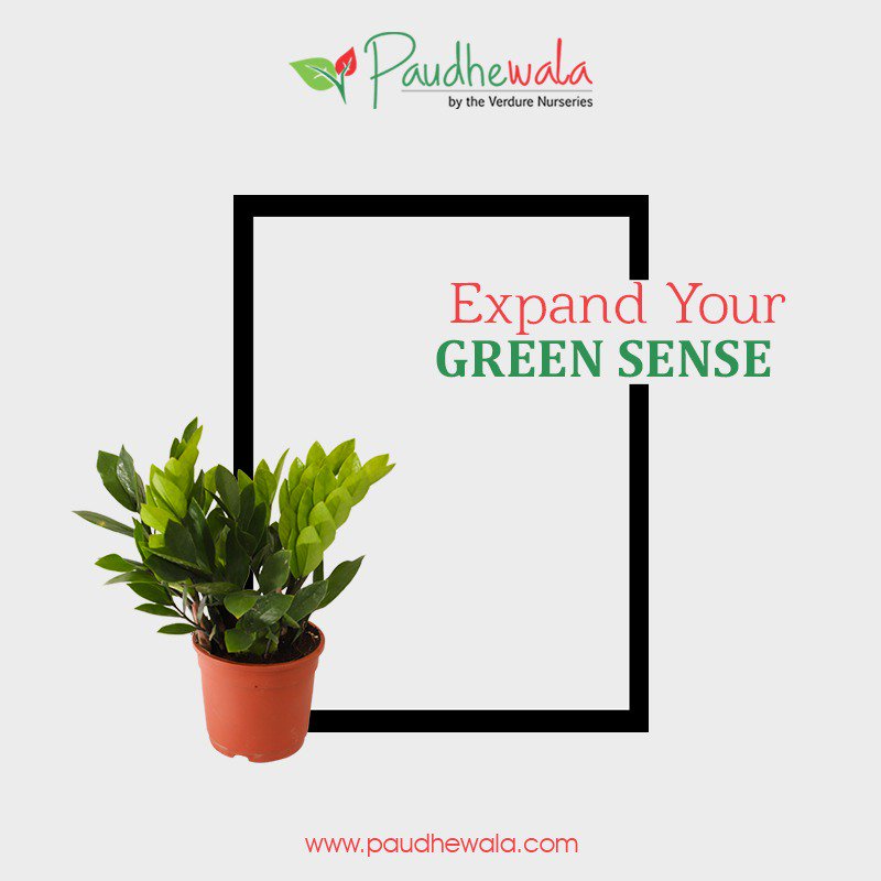 Expand Your Green Sense.
#paudhewala