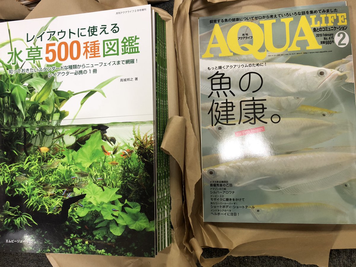 月刊アクアライフ編集部 Pa Twitter もうすぐ発売 本日 月刊アクアライフ2月号 と 水草500種図鑑 ダブルで搬入されました 発売は1 11 金 首都圏基準 です アクアライフ の特集は 魚の健康 小特集はシルバーアロワナ ベタ メダカ新品種 イモリウム