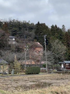 画像 / Picture