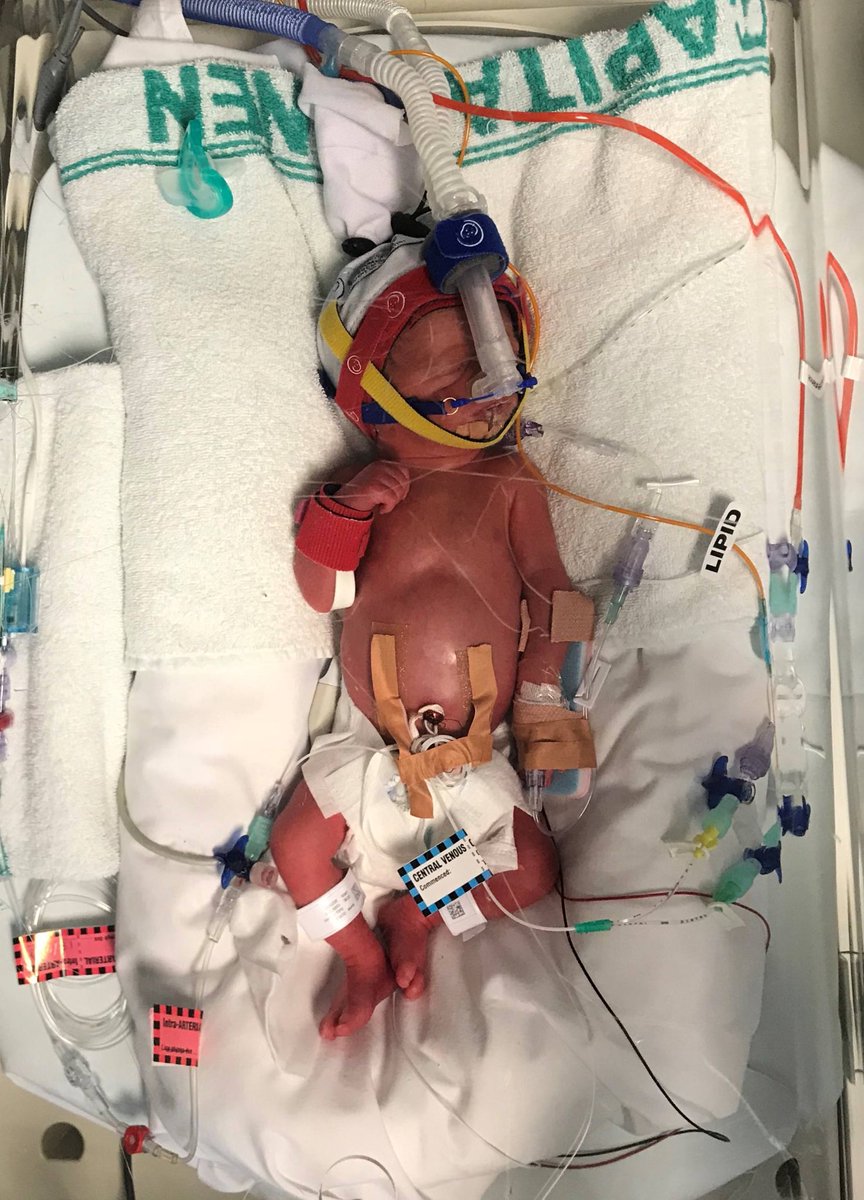 TimelessMan's tweet image. 2018 - The year that wasn’t: timelessman.com.au/advice/2018-th…