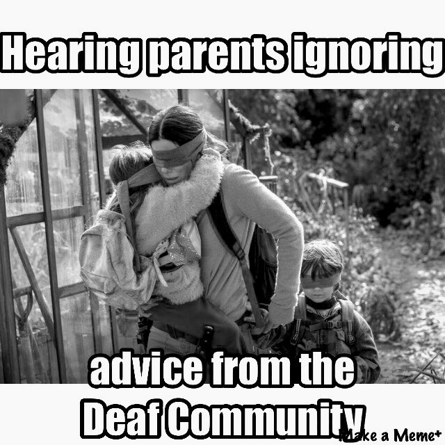 #Birdboxmeme #DeafCan #SignLanguage #ignoringadvice