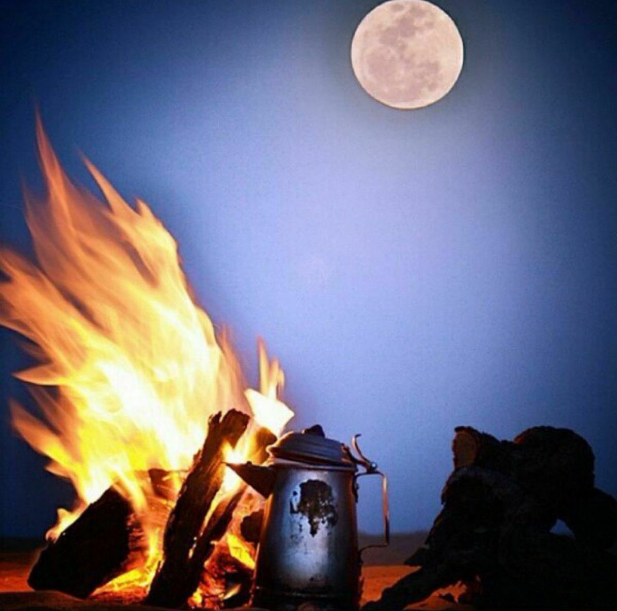 ياقمر خمسة عشر في وسط غيمه 
يشبهك في طلتك   وجنة  خليلي 

شبه صيد البر ساااكن وسط خيمه
والثنايا البيض  والرمش  الضليلي