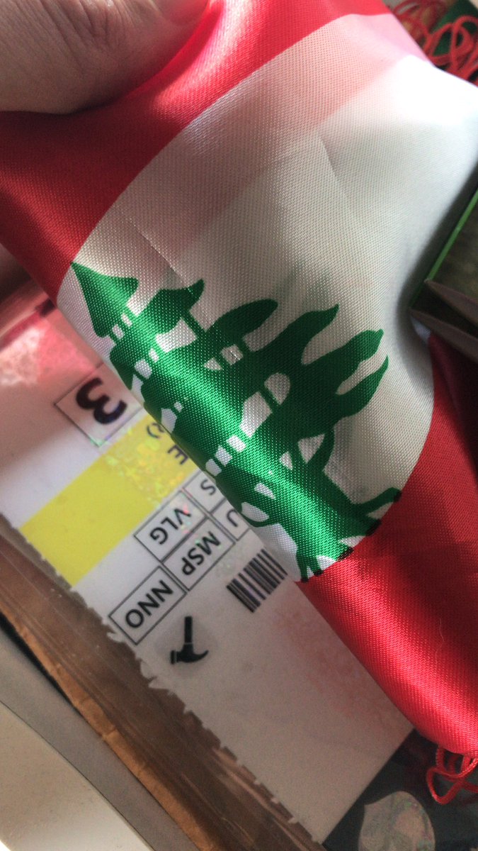 BabaGol_'s tweet photo. Today Lebnen is playing 🌲⚽️ #QATLEB #asiancup2019 https://t.co/5ktDH0nb6v