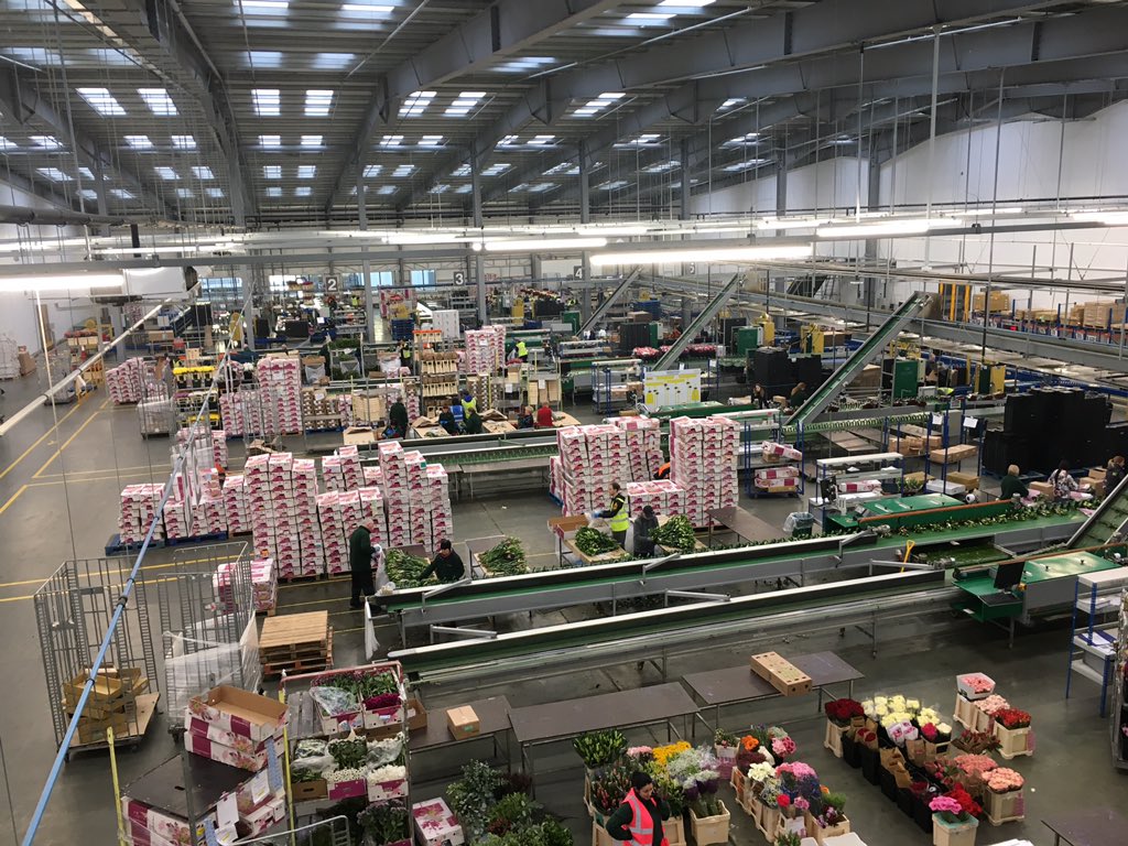 Charles Lane tweet media