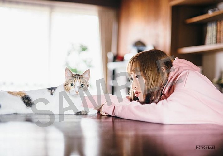 セブンネットショッピング Tvアニメ 同居人はひざ 時々 頭のうえ Edテーマ 南條愛乃 ニューシングル 君のとなり わたしの場所 予約開始 初回限定盤cd Dvd セブンネット限定特典 ブロマイド付き はこちら T Co Ckwrbpxurq