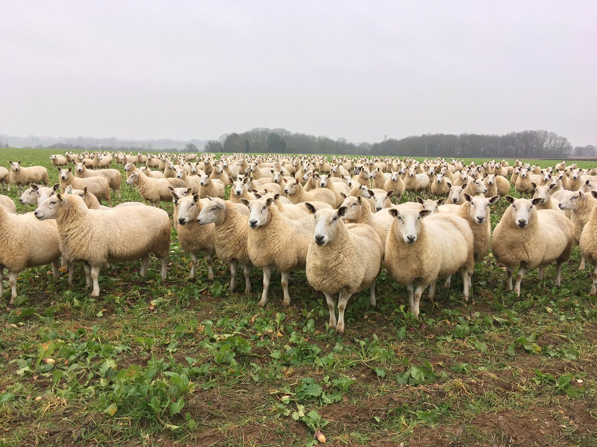 Good morning from deepest darkest Norfolk