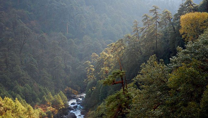 askthenepal's tweet photo. โThe most beautiful in the world is, of course, the world itself.โ โ Wallace Stevens
so lets explore its beauty....
@LangtangHolyTrek
#VisitNepal2020 #exploreNepal #letstrek #letstravel
https://t.co/LnQzidpUb4 https://t.co/mSfo6D2vh2