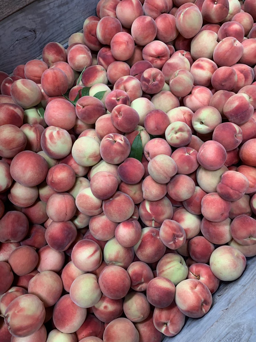 Peaches, peaches,peaches. #peaches