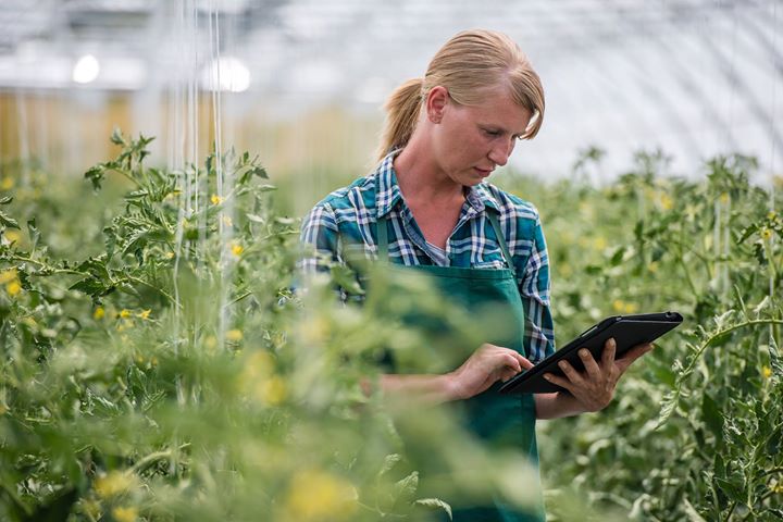 Webinar: Join #Couchbase and guest speaker Noel Yuhanna to learn about "Choosing the Right Data Platform for Today’s Mobile Apps" on Thursday, January 17 at 11:00 a.m. Pacific.
bit.ly/2ABL18D