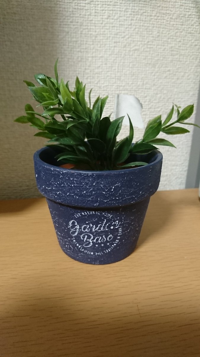 トニック Twitterren ダイソー行ったらフェイクグリーンに目が止まった 気に入ったので購入して机の隅に置きました ダイソー フェイクグリーン トニック Twitterren ダイソー行ったらフェイクグリーンに目が止まった 気に入ったので購入して机の隅に置きました ダイソー フェイクグリーン