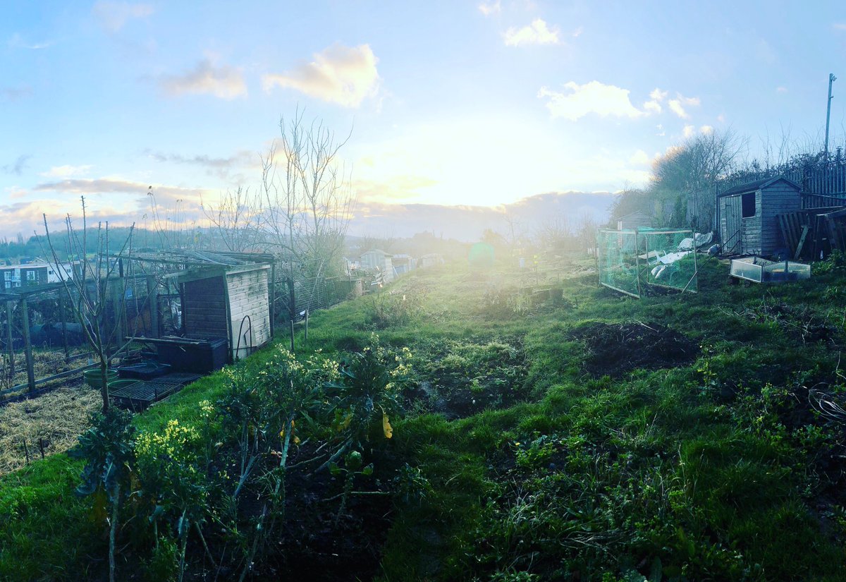 the_right_mind's tweet photo. All truly great thoughts are conceived by walking💡I love my morning walk to work past these allotments 🍅🥬🥕 It’s a good time to reflect on what’s been and what’s to come. It’s also a great opportunity to practice walking meditation 🙏 Try it! #walking #meditation #mindfulness https://t.co/czgj3J2wAJ
