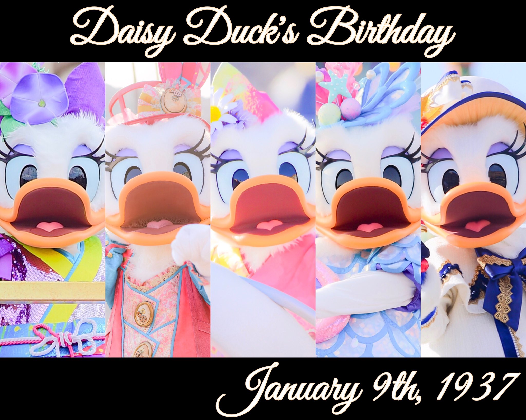 デイジーダック誕生日 Twitter Search Twitter