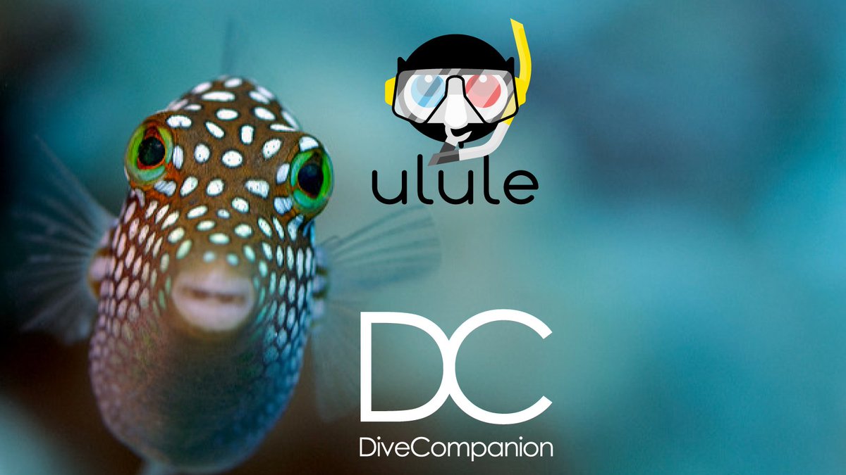 DiveCompanion tweet media