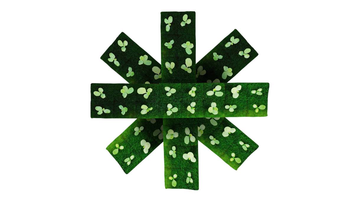 #Farming for the future - find out how we helped a forward-thinking client move to the cutting edge of #agritech. bit.ly/2H1ZRL7