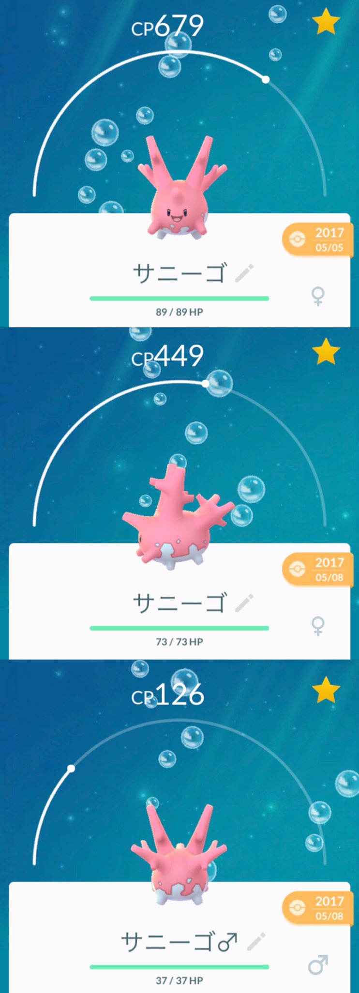沖縄サニーゴ Twitter Search Twitter