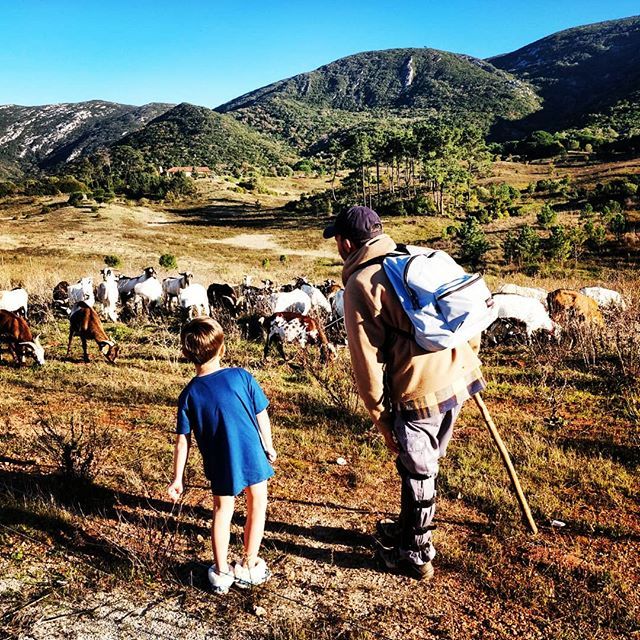 The local shepard of Portinho da Arrábida, one of the last of his breed in the region, came by our rental house for a lengthy chat about shepharding, goat culture and his passion for mountains. He was charming, gregarious and adored speaking to Mica about his herd, while occ…