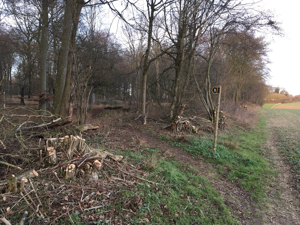 BedwynFootpaths's tweet photo. Entrance to footpath through #Chisbury woods thoroughly cleared by landowner. That will save us a job again next season😀Also wire removed from stile. Thank you! 👏Worth walk up there for view #GetOutside https://t.co/qg10e2MVv8