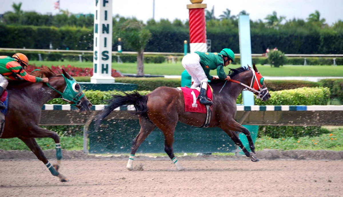 ObjectiveCap's tweet photo. Join @BDPharmaExec, who is moderating a fireside chat breakfast meeting from 7-9AM on January 15 at the Lomas Santa Fe Country Club in Solana Beach on the topic of "Selling a Family Owned  Business - Getting Your Thoroughbred to the Finish Line." https://t.co/GfWyG4Q7H7 https://t.co/zDbZbWpe4Q
