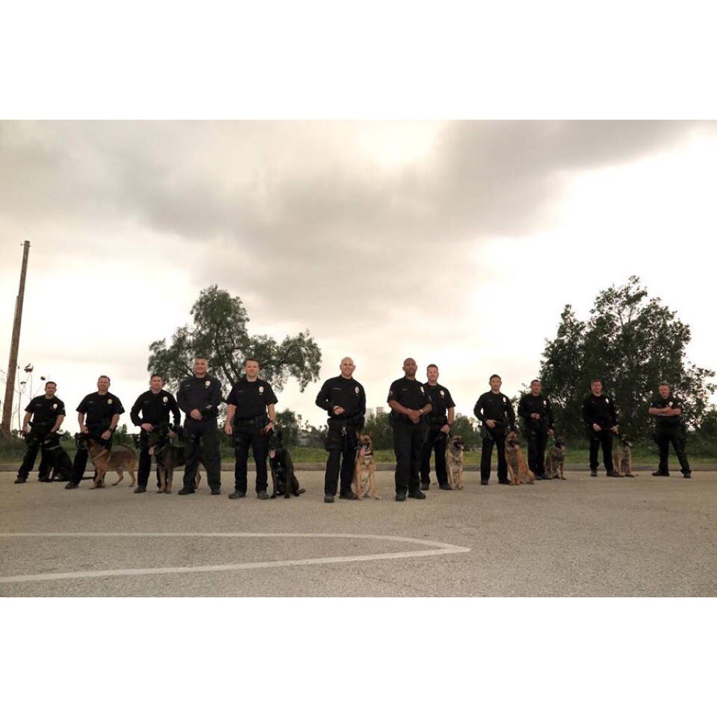 TheK9Fund's tweet photo. Today is National Law Enforcement Appreciation Day!
Let’s give thanks to all of the Officers and K9s who keep us safe. #LAPDK9 #K9Fund #NationalLawEnforcementAppreciationDay https://t.co/2GuVMRjnt3