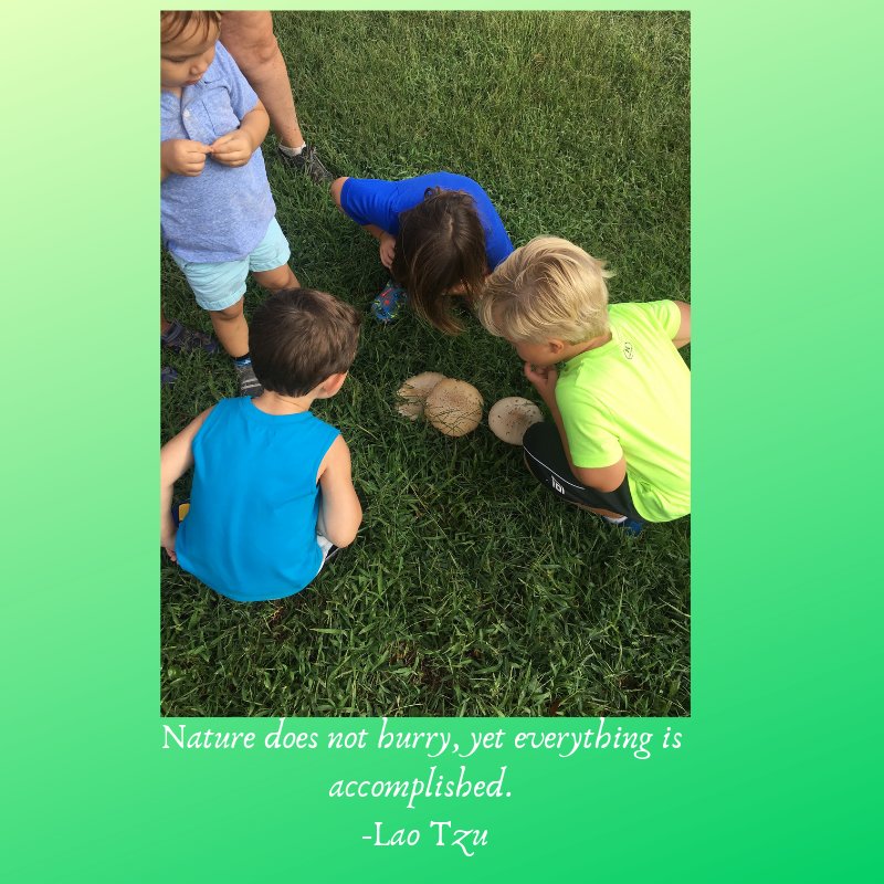 Camp Albemarle (@campalbemarle) on Twitter photo 