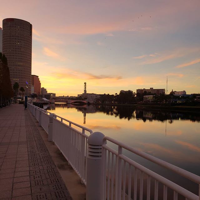 lttlewys's tweet photo. Up with the sun!

#Tampa #workoutwednesday https://t.co/j6ZyOdA314