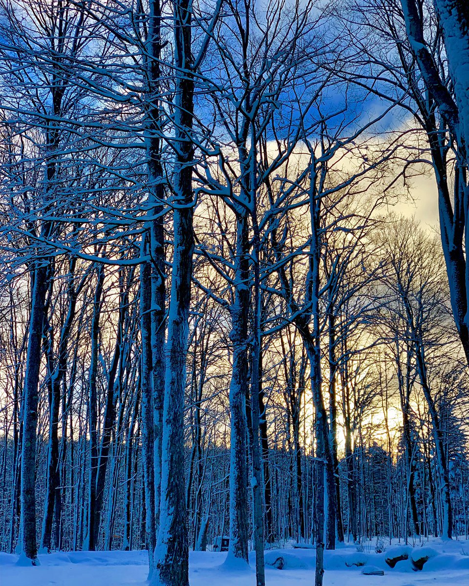 NorthernMiTired's tweet photo. Wednesday Weekend Feature!
Sunday is Community Appreciation Day at Boyne Highlands &amp; Boyne Mountain. Residents of Antrim, Charlevoix, Cheboygan, Emmet, and Otsego counties get FREE access to their hills as well as their cross country trails and parks. 
💙👉🏼✋🏼
@Boyne_Highlands https://t.co/v3cX8S9HqQ