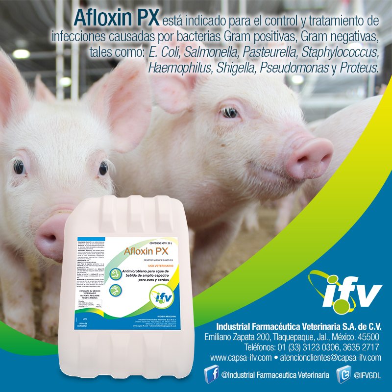 IFVGDL's tweet image. AFLOXIN PX Recomendado para para aves y cerdos. Disponible en Industrial Farmacéutica Veterinaria S.A. de C.V.
 Teléfonos: 01 (33) 3123 0306, 3635 2717 
 Correo: atencionclientes@capsa-ifv.com
 capsa-ifv.com