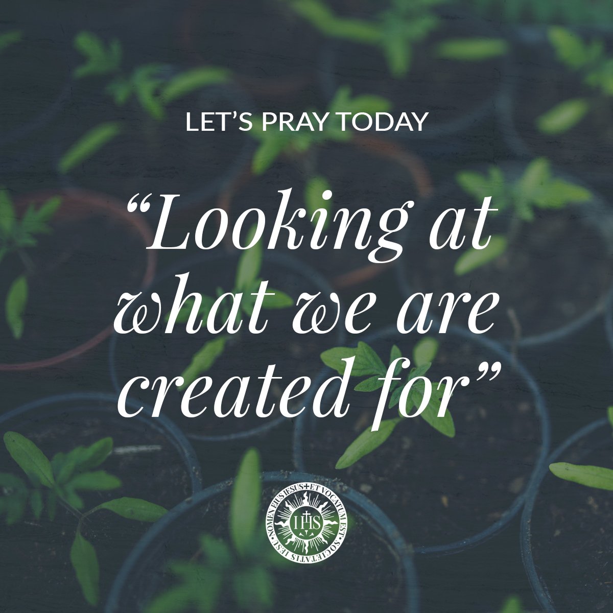 JesuitsGlobal's tweet photo. Pray the daily #prayer of #FatherGeneral's Extended Council today. We need your support! 🙏🏾🌱🙏🏻 #jesuits #uap
Click: https://t.co/Bqhf3uM0SX https://t.co/QjdtXrFUGc