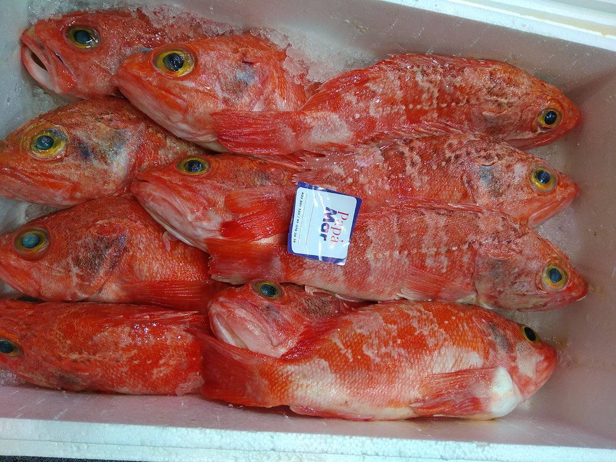 papamarmadrid's tweet photo. El #pescado #fresco puede ser tu mejor aliado estos próximos días ¡Atrévete a innovar con recetas sanas y deliciosas!

#FelizMiercoles #PescaderíaMadrid #Pescado #ProductosFrescos #Fish #Fisher #Madrid #ProductosDeCalidad #Productosdetemporada https://t.co/YdEDII01kW