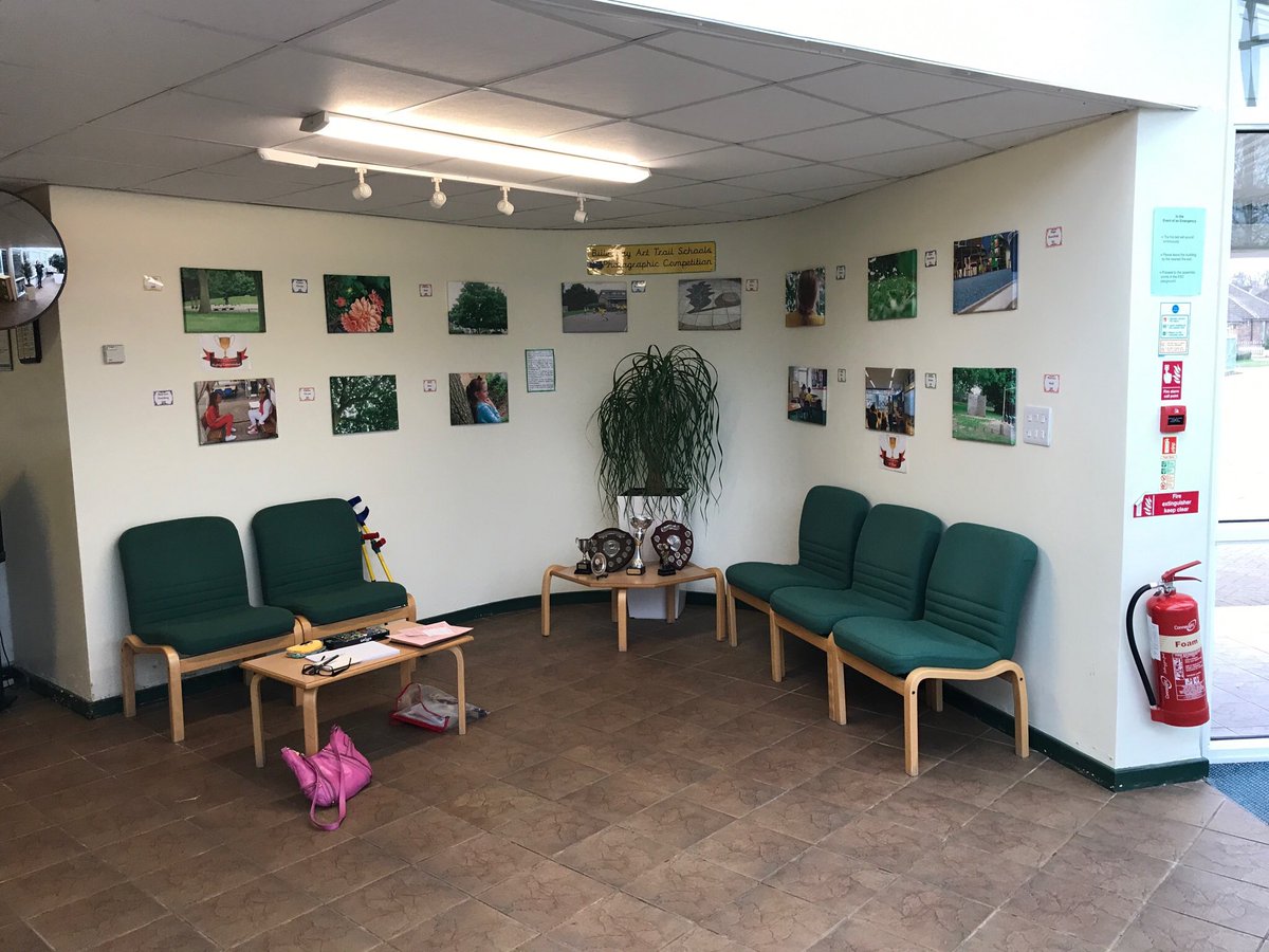 JillBusbyArt's tweet photo. Brightside Primary Art Gallery finally finished, before and after photos #brightsidesch #essexart #schoolinstallation #schoolart #trees #stumps #artinstallation #indoortree #schoolartgallery https://t.co/3RmsQM4fvB