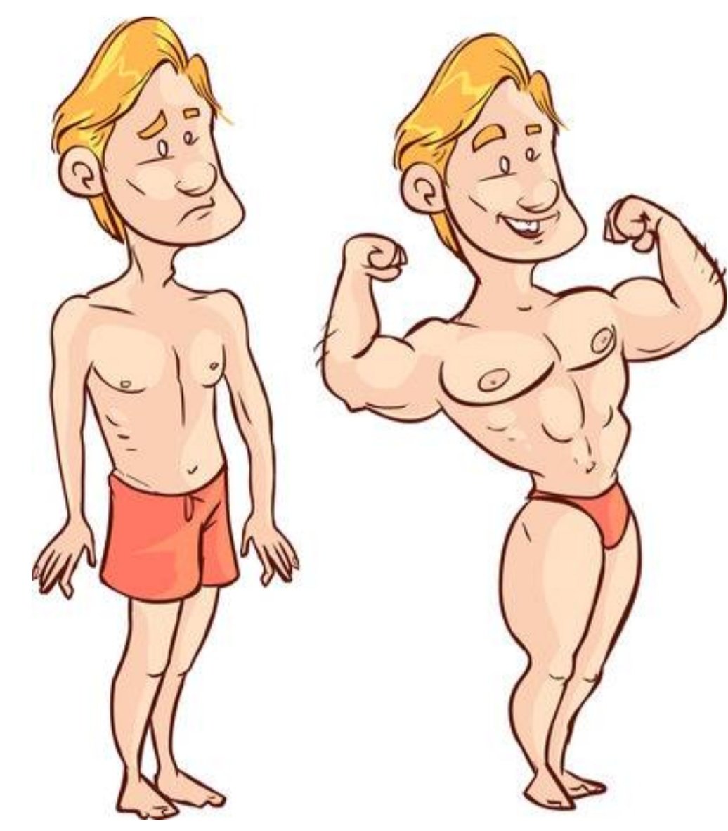 BlancaIfses's tweet photo. La testosterona 💪:
Se produce en los testículos, específicamente en las células de Leydig, en el tejido que rodea los túbulos seminíferos, perteneciente al grupo de los andrógenos, también se llama esteroides.
#EIR2019
#EIR
#repasofinal #OPE https://t.co/33gkyjsUh5