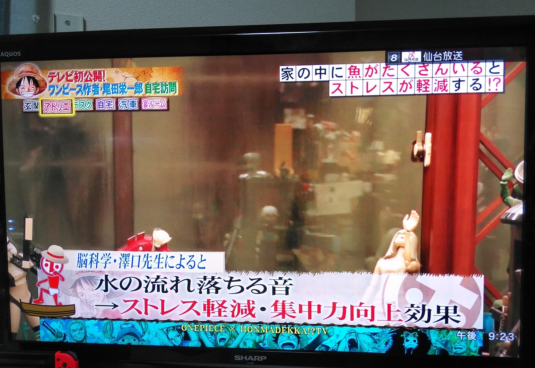 Uzivatel Aqua Plus Na Twitteru ほんまでっかで澤口先生いいこと言ってる やっぱり水槽は効果あり ホンマでっかtv 澤口先生 Uzivatel Aqua Plus Na Twitteru ほんまでっかで澤口先生いいこと言ってる やっぱり水槽は効果あり ホンマでっかtv 澤口先生