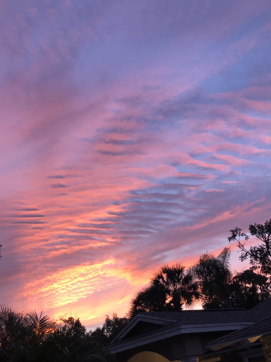 LizSTucker's tweet photo. A supple spine of pink ribs paint the morning sky. #Namaste https://t.co/vzDJK6NUPx
