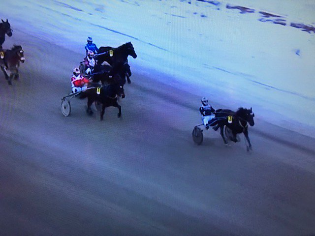 positivakicken's tweet photo. Det här travåret har börjat riktigt bra med fem starter och tre segrar. Idag vann vår delägda 4-åriga Tjomsensin (Tekno Odin e. Åsaeldi v. Spikeld) på Bergsåker i årets första start. Det var Jimmy Jonsson som körde och Øystein Tjomsland som tränar. Så kul med segern. FIRA! https://t.co/pA5YAMh3Aa