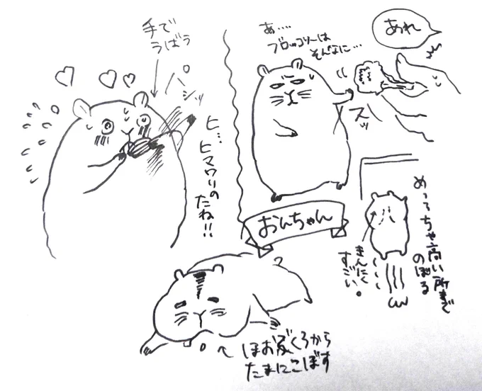 おんちゃんの「今日はもうブロッコリーいいっすわ…」の手が好きです。まるい。 