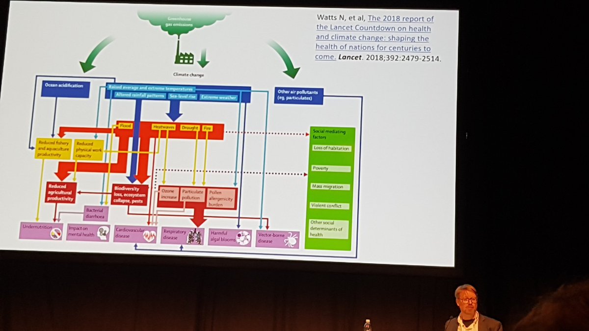 EevaOllila's tweet photo. Finnish doctors listening to "health and climate change" lectures at the annual #Doctor2019 conference. Time to wake up and act.
#climatechange #health #HiAP https://t.co/B0qEVxCVfT