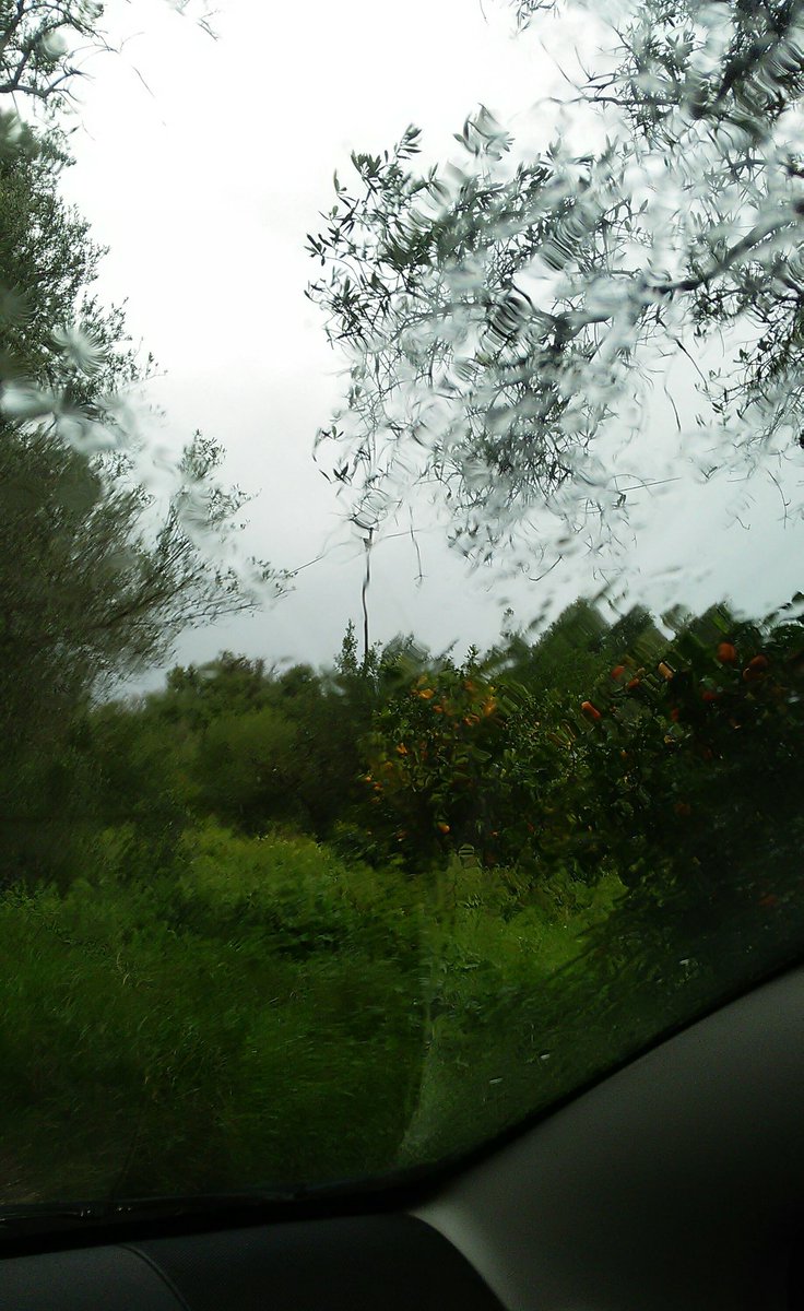 percontomio70's tweet photo. Sorrisi bagnati !!! (Piove, nella campagna siciliana) #guidando https://t.co/qQvQTCKZRb