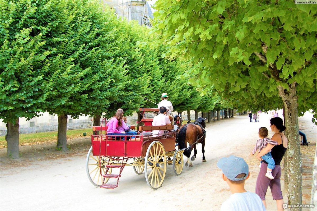 IOtzyv's tweet photo. Дворец #Fontainebleau #Франция . Как добраться, что посмотреть и другое бесплатное. Читайте #отзыв https://t.co/CcFSKYu5eZ
#туризм #отзывы #путешествия #France https://t.co/R7tjXMxabs