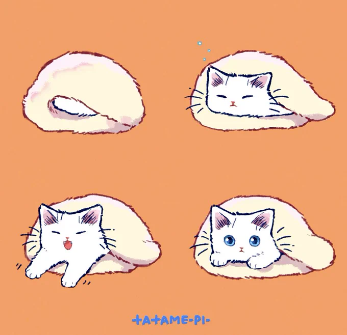 寒くてなかなか出てこないねこ。 